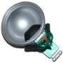 Helm