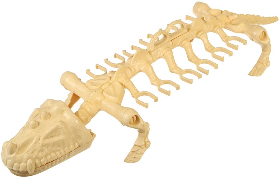 Battle Bones – Bild 1
