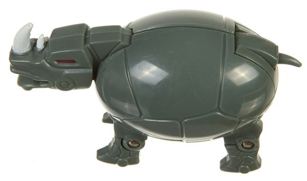 Rhinorb – Bild 1