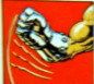 Powerpunch (Arm)
